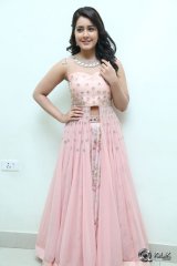 Bengal Tiger Movie Audio Launch